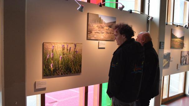 <p>Schützenswerte Arten und Naturschutzgebieten werden im Rahmen der Ausstellung beleuchtet.</p>