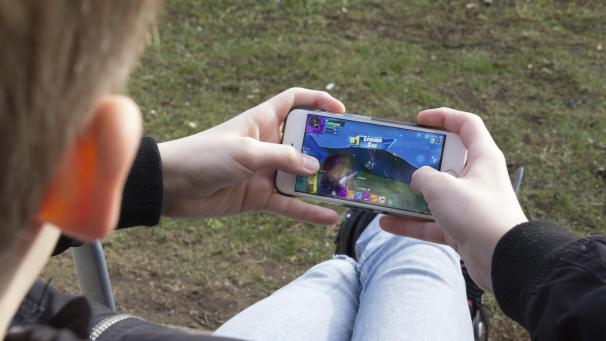 <p>WSR veröffentlicht Daten zur Digitalisierung in der DG.</p>