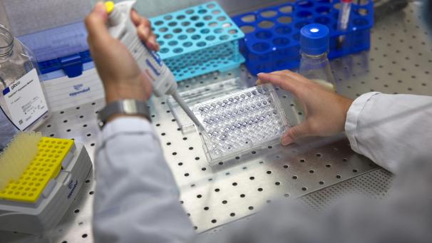 <p>Belgaimage-69040120</p>