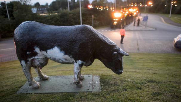 <p>Die Farbe an den Kühen des Kreisverkehrs blätterte bereits 2015 ab, wie diese Aufnahme zeigt. Seitdem hat sich die Situation nicht verbessert.</p>