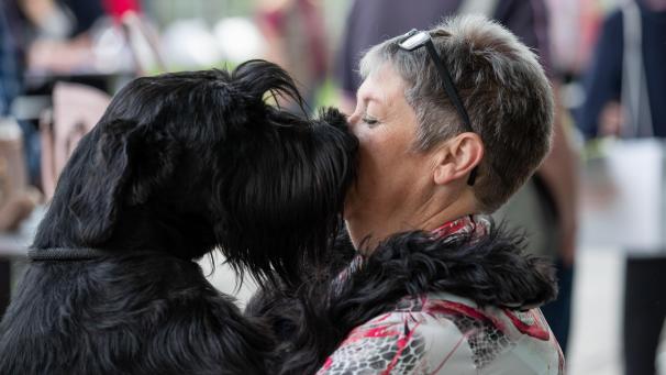 <p>Hunde machen nicht nur glücklich, sondern können auch bei der Konzentration helfen.</p>