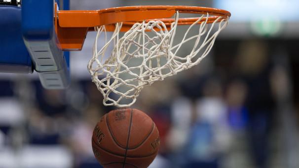 <p>basketball illustration</p>