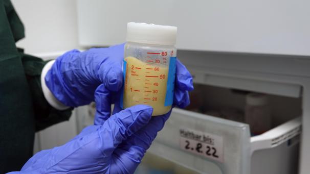 <p>Die gespendete Muttermilch wird zur Versorgung von Frühchen eingesetzt.</p>