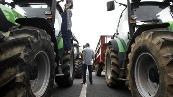 <p>Am Dienstag protestieren in Brüssel erneut die Landwirte.</p>