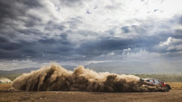 <p>Thierry Neuville in Aktion</p>