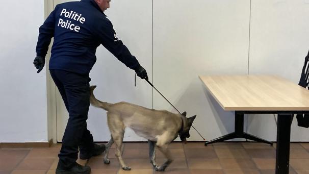 <p>Luna auf Spurensuche</p>