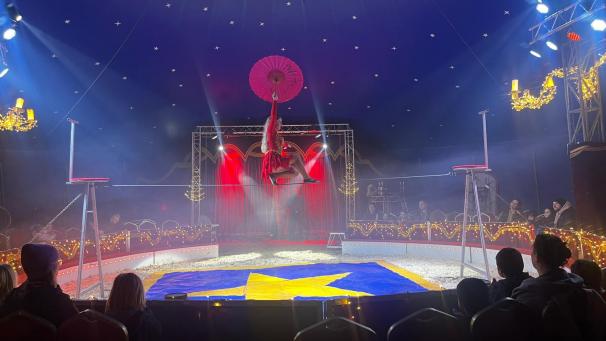 <p>Jonglage, Akrobatik und auch Clownerie gehören zu dem rund 90-minütigen Programm. Auf Tierdarbietungen verzichtet der Zirkus Amany weitgehend.</p>