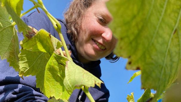 <p>2023 war für die Genossenschaft ein sehr ertragreiches Jahr, sodass die Produktion deutlich erhöht werden kann.</p>