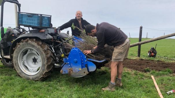 <p>Rund 1,5 km Naturhecke mit zwölf regionalen Arten wurden in Lommersweiler gepflanzt.</p>