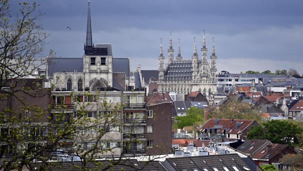 <p>Ein Blick von oben auf Löwen</p>