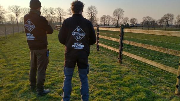 <p>Nicht jeder Zaun ist als Schutz gegen Wolfsangriffe geeignet.</p>