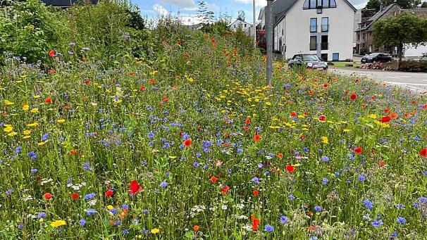 <p>Jahr für Jahr wird die Zusammensetzung der Mischung leicht verändert und den klimatischen Bedingungen angepasst.</p>