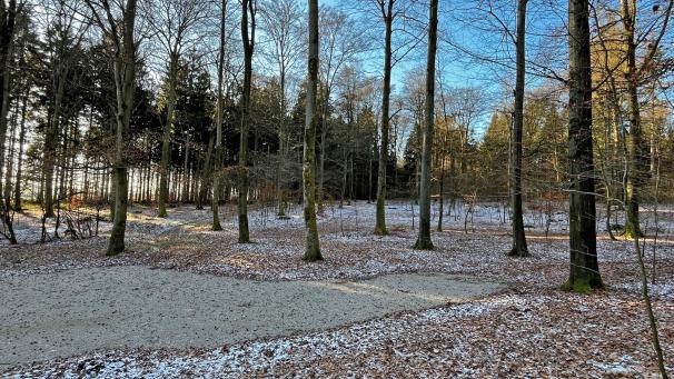 <p>Im Ameler Bestattungswald finden seit einigen Wochen Menschen ihre letzte Ruhe.</p>