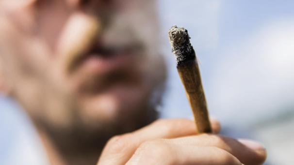 <p>Im Bereich von Cannabis besteht der Untersuchung zufolge Handlungsbedarf.</p>