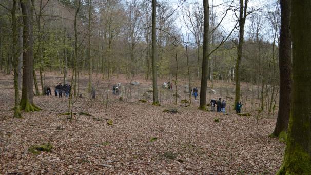 <p>Der Bestattungswald ist im Bambusch zwischen Amel und Schoppen gelegen. Parkmöglichkeiten stehen zur Verfügung.</p>
