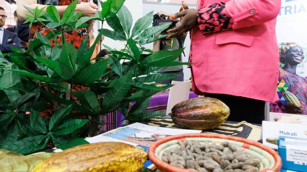 <p>Im Beisein von Königin Mathilde wurde am Montag die dreitägige Welt-Kakao-Konferenz in Brüssel eröffnet.</p>