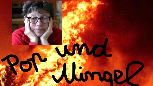 <p>Feuer-Bild-Ausschnitt -Pressebild-1</p>