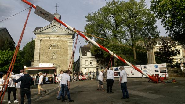 <p>Mit Kraft und Können wuppen die Wusel den Baum in die Senkrechte.</p>