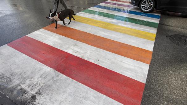 <p>Auch die Regenbogen-Zebrastreifen werden erneuert.</p>