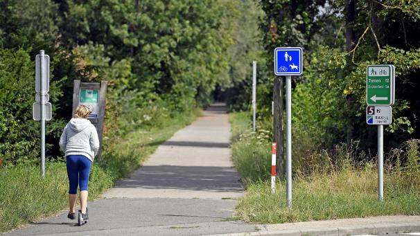 <p>d-20230715-H0KK5Z_high</p>