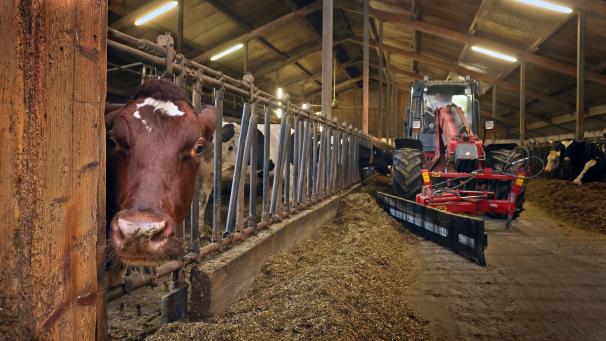 <p>Landwirte können mit verschiedenen Lockerungen rechnen.</p>