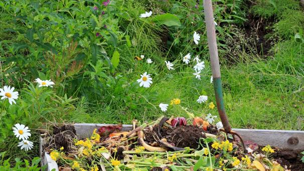 <p>Bei Grünabfällen war 2023aufgrund des verregneten Sommers ein wetterbedingter Anstieg zu beobachten.</p>