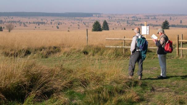 <p>Wegen der starken touristischen Nutzung wird in einem Teilgebiet des Venns nicht mehr gejagt.</p>