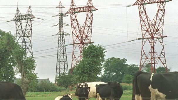 <p>Belgier bezahlen im Vergleich zu ihren Nachbarländern weniger für Strom. Das zeigt eine jetzt vorgelegte Vergleichsstudie.</p>