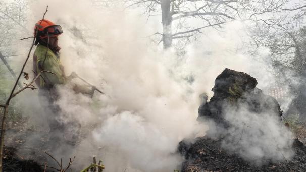 <p>In dem neuen Studiengang am RSI in Eupen werden ab 2025 Schüler auf eine Karriere und den Einstieg bei Polizei, Feuerwehr, Armee und Rettungs- sowie Sicherheitsdiensten vorbereitet.</p>