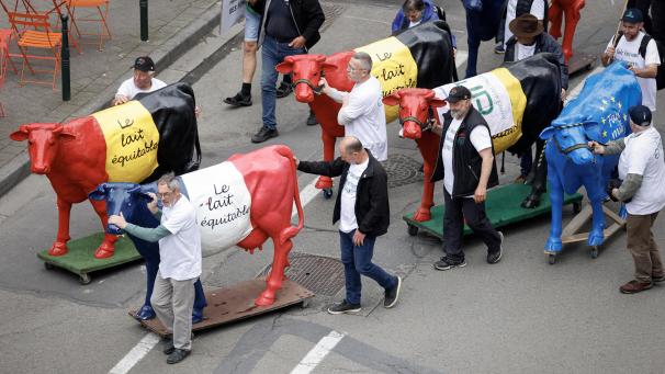 <p>Friedlicher Bauernprotest mit Plastikkühen in Brüssel</p>