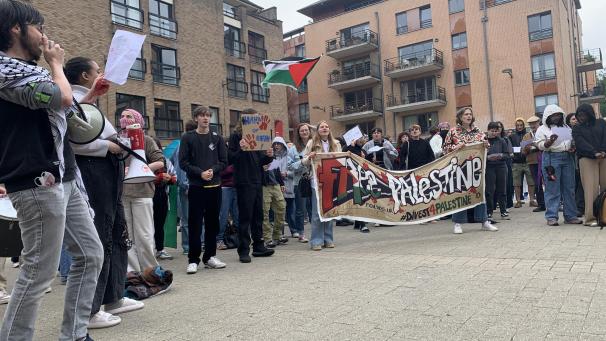 <p>Demo in Neu-Löwen</p>