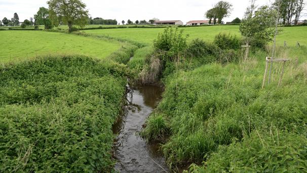 <p>In Raeren soll die Abwasserklärung in geregelte Bahnen gelenkt werden, sodass künftig nicht mehr in die Bäche (hier Reybach) abgeleitet wird. Foto: David Hagemann</p>