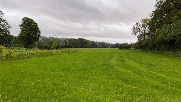 <p>Auf diesem Gelände sollen neun Einfamilienhäuser entstehen.</p>