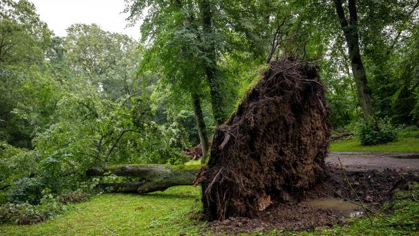 <p>In nicht-lebensbedrohlichen Situationen sollte man die Sondernotrufnummer1722 anrufen.</p>