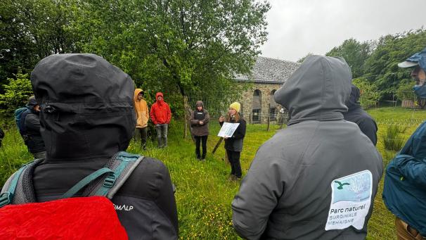 <p>Wenn von nachhaltigem Tourismus im Einklang mit der Natur die Rede ist, dann gehört mittlerweile auch den Umgang mit dem Wolf zu den Themen, die dabei berücksichtigt werden müssen.</p>