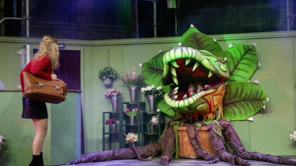 <p>Aus der scheinbar harmlosen Topfpflanze wird schnell ein mittelgroßer Busch, der am Schluss zu einem Monstrum mutiert, das reihenweise Menschen verschlingt.</p>