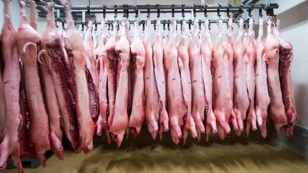 <p>China hat eine Anti-Dumpinguntersuchung gegen Schweinefleisch aus der EU angekündigt.</p>