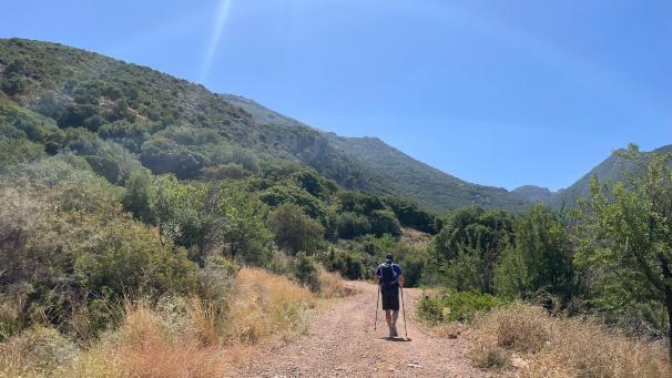 <p>In Griechenland sind seit Anfang Juni 2024 bereits mindestens fünf Touristen ums Leben gekommen. Die Menschen missachten vor allem die Warnung, nicht in den heißen Mittagsstunden wandern zu gehen oder Sport zu treiben.</p>