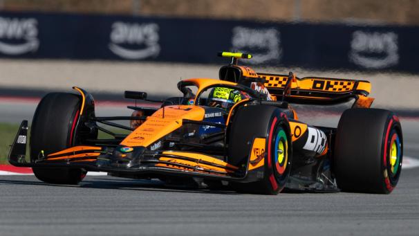<p>Lando Norris</p>