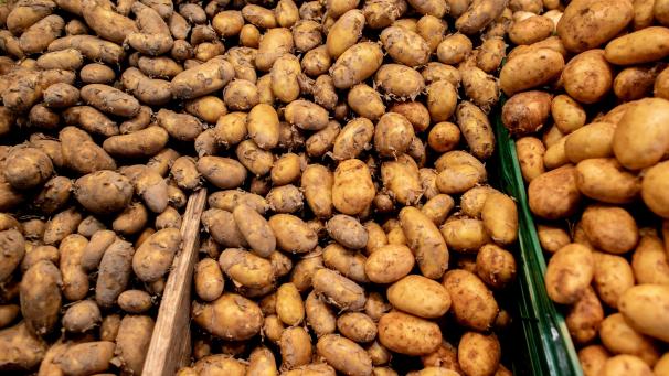 <p>Greenpeace kritisiert die Verteilung der Gewinne in der belgischen Kartoffelbranche.</p>