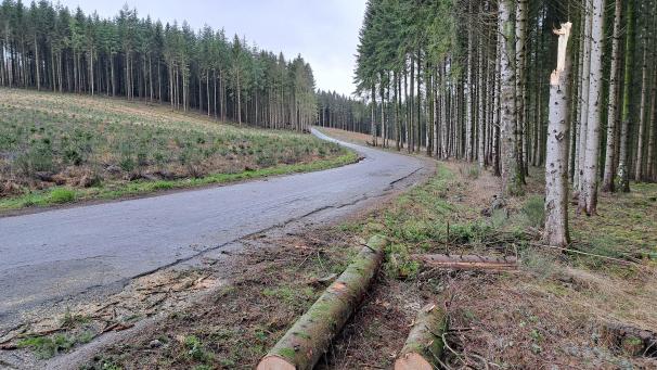 <p>Bis zu 1.500 Fahrzeuge passieren täglich den „Benzinweg“ in Espeler, obwohl dieser eigentlich nur ein asphaltiert Feldweg sei.</p>