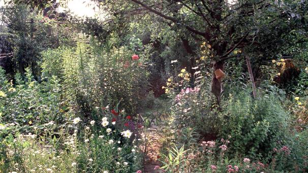 <p>Die Teilnehmer des Praxisseminars können konkrete Ideen sammeln, wie sie mit wenig Aufwand und Mitteln einen Teil ihres Gartens naturnah gestalten können.</p>