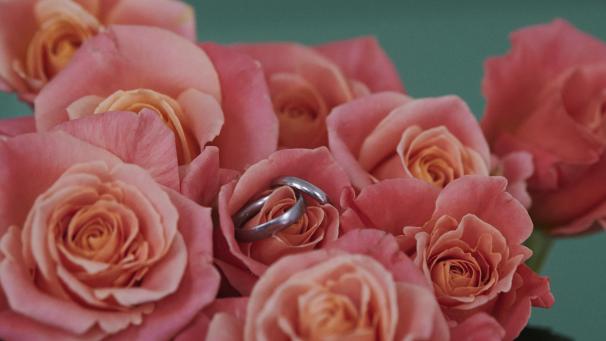 <p>Im vergangenen Jahr wurden in der Deutschsprachigen Gemeinschaft 287 Ehen geschlossen.</p>