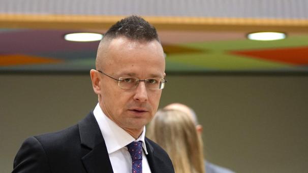 <p>Ungarns Außenminster Peter Szijjarto</p>