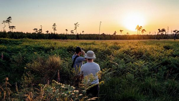 <p>Nicolas Allard, alias  Olvo , hat sich aufgemacht, diese flüchtigen Momente festzuhalten. Ausgestattet mit Mikrofon und Kopfhörern erkundete er die unwirkliche Natur des Hohen Venns.</p>