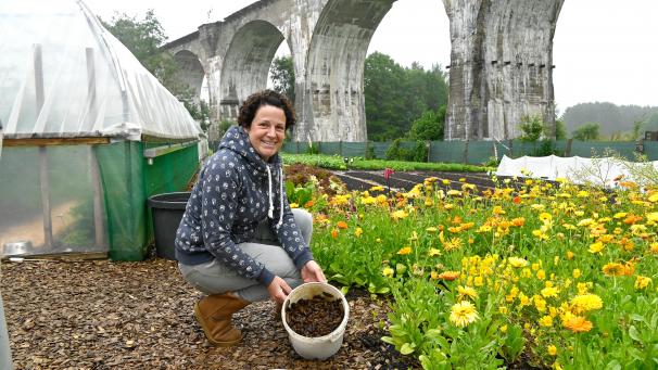<p>Seit März werden in der Borner Gemüsegärtnerei täglich eimerweise Nacktschnecken abgesammelt. „Eine Schneckeninvasion wie in diesem Jahr hat es praktisch seit Menschengedenken nicht mehr gegeben“, sagt Nadja Born.</p>