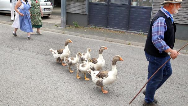 <p>Das Leben auf dem Bauernhof Aldringen 01(Foto NC-Media)</p>