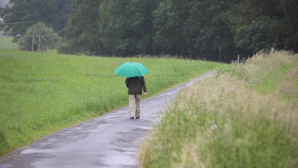 <p>Beim Spaziergang sollte man zurzeit besser einen Regenschirm dabei haben.</p>