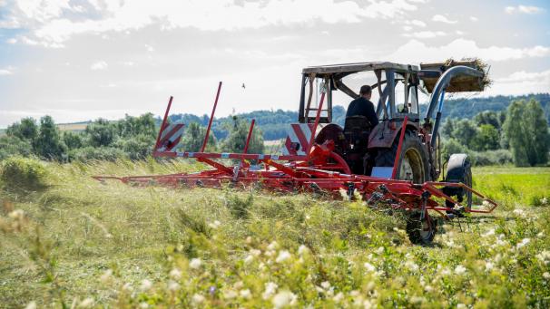 <p>Wallonische Landwirte haben zunehmend Probleme, Nachfolger für ihre Betriebe zu finden. In den kommenden zehn Jahren muss theoretisch die Nachfolge für 8.000 Betriebe geregelt werden.</p>