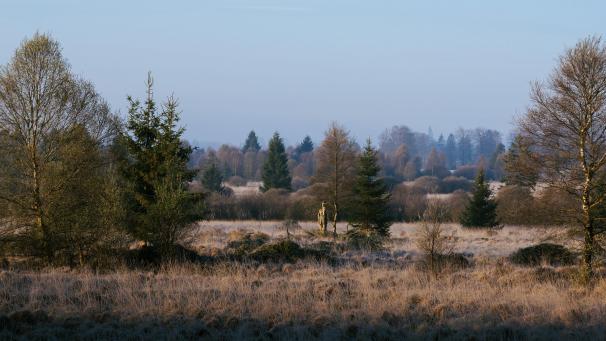 <p>Die Kampagne soll dazu beitragen, die geheimnisvolle Seite des Venns zu entdecken.</p>